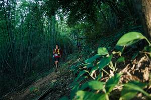 BIB: 
                            <button type="button" onclick="openModal(28124413)" class="btn btn-primary btn-sm float-right btn-popup" data-toggle="modal" data-target=".modal-high-quality">
                        <i class="fas fa-shopping-cart"></i> Add to Cart
                    </button>
                                            <button type="button" onclick="isThisMe(28124413, true)" class="btn btn-success btn-sm float-right btn-popup btn-isme hidden" data-toggle="tooltip" data-placement="bottom" title="นี่คือรูปของคุณใช่ไหม คลิกที่นี่เพื่อเอาเข้าอัลบั้ม">
                        <i class="fas fa-plus"></i> Add to album
                    </button>
                    <button type="button" onclick="isThisMe(28124413, false)" class="btn btn-warning btn-sm float-right btn-popup btn-isnotme hidden">
                        <i class="fas fa-ban"></i> Remove from album
                    </button>